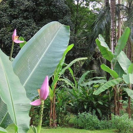 Sand Dollar Beach Bed & Breakfast Bocas del Toro Exterior photo