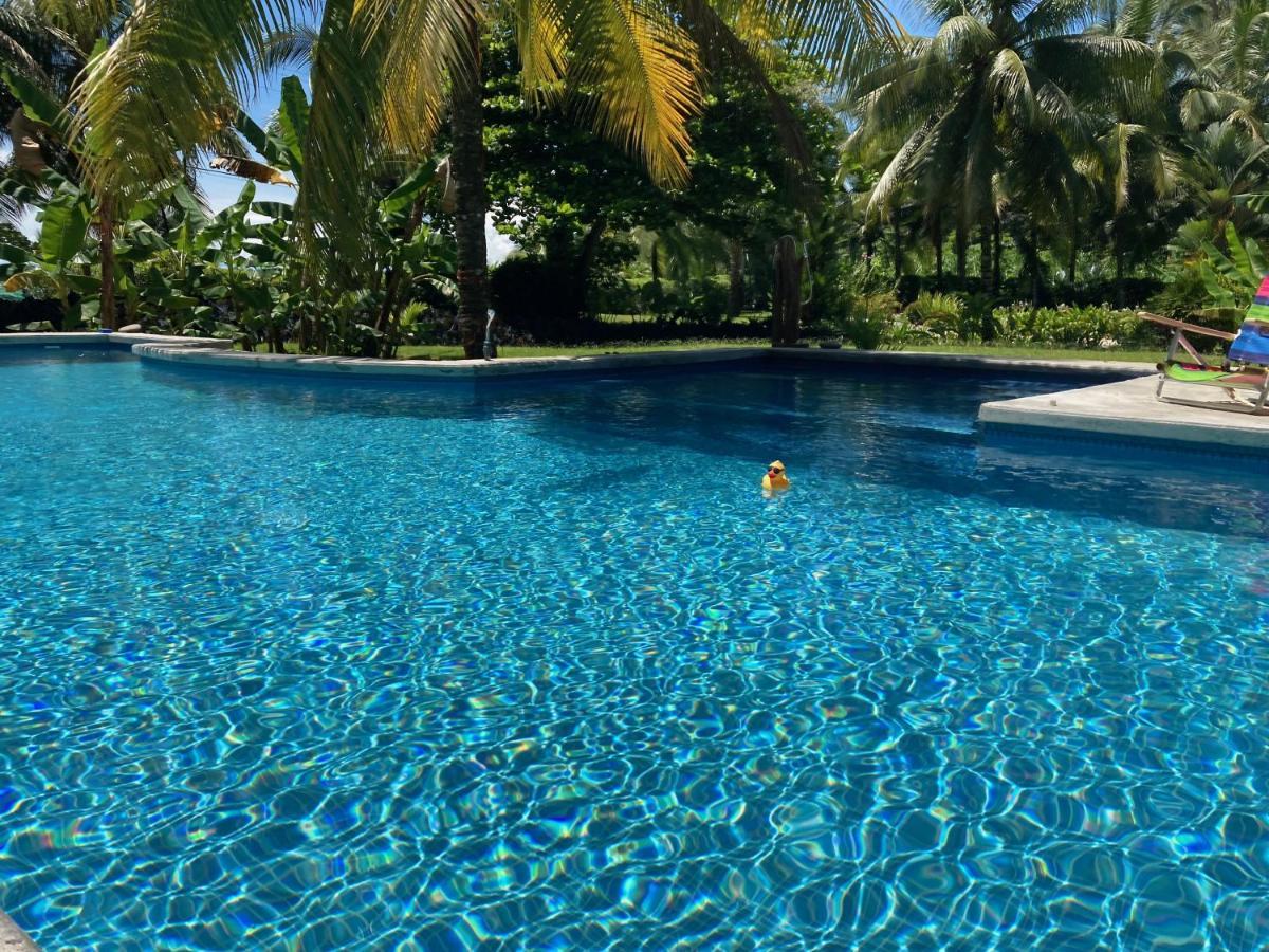 Sand Dollar Beach Bed & Breakfast Bocas del Toro Exterior photo