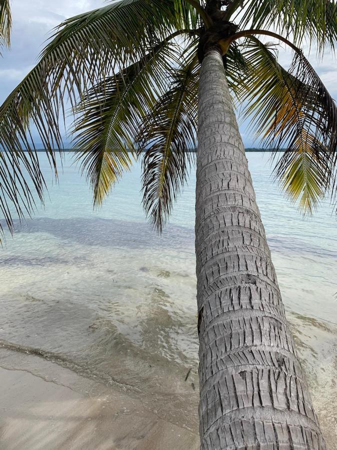 Sand Dollar Beach Bed & Breakfast Bocas del Toro Exterior photo