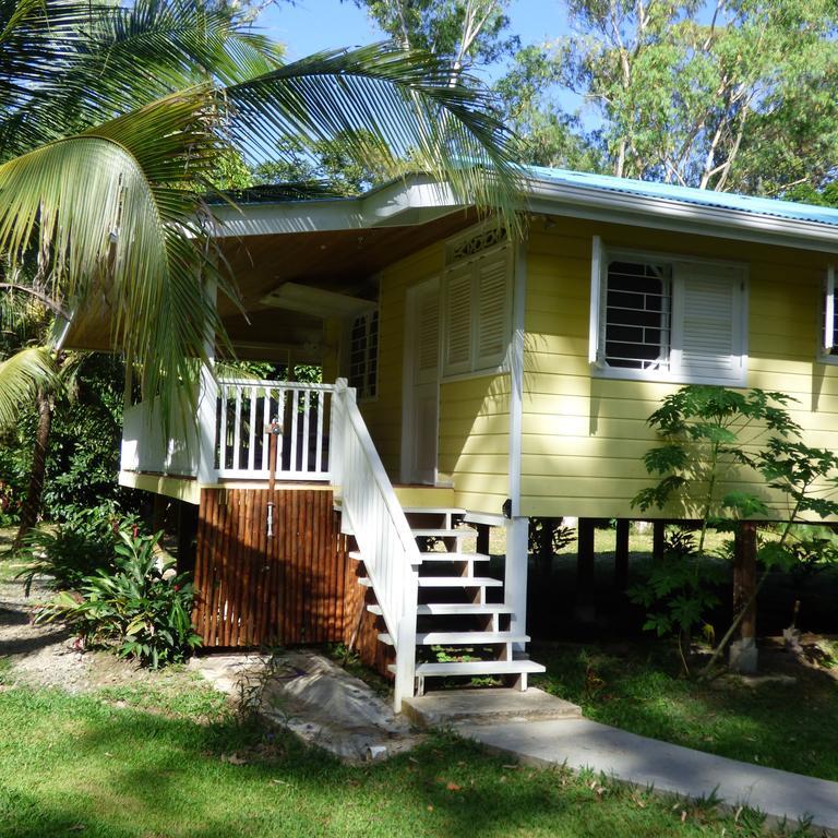 Sand Dollar Beach Bed & Breakfast Bocas del Toro Room photo