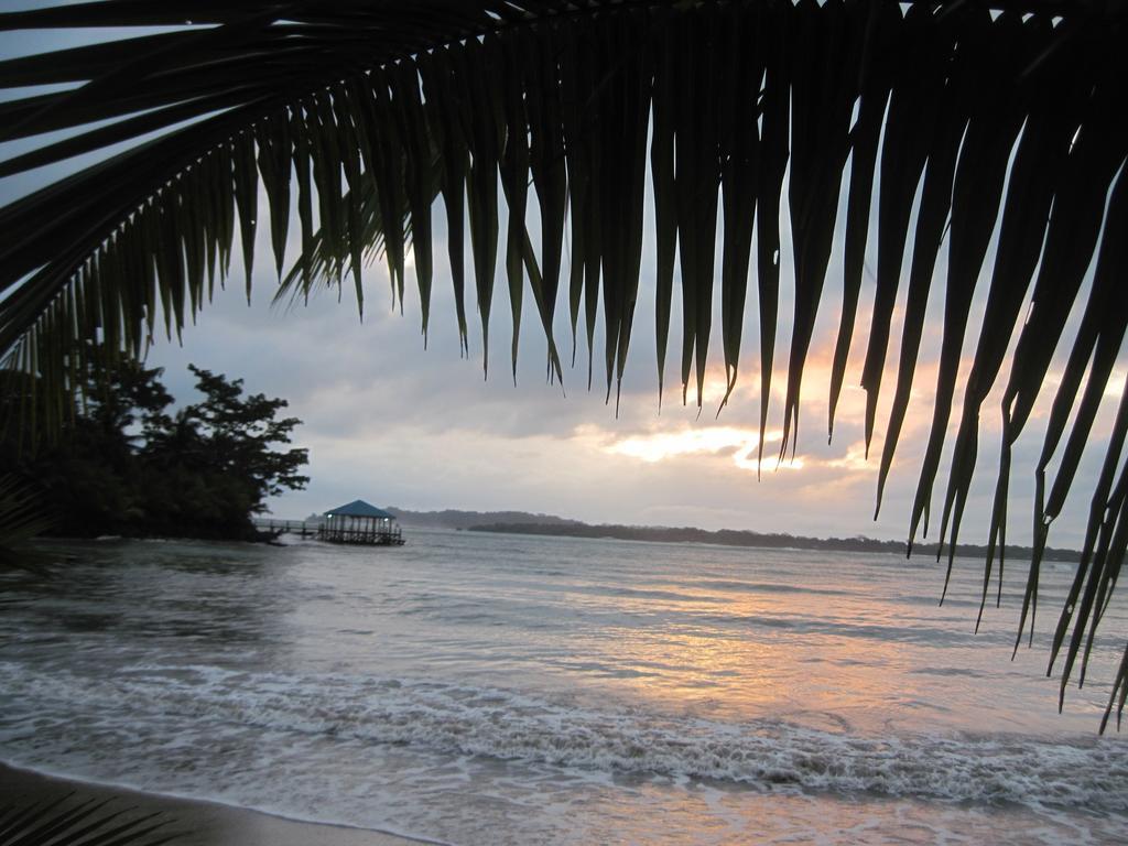 Sand Dollar Beach Bed & Breakfast Bocas del Toro Exterior photo