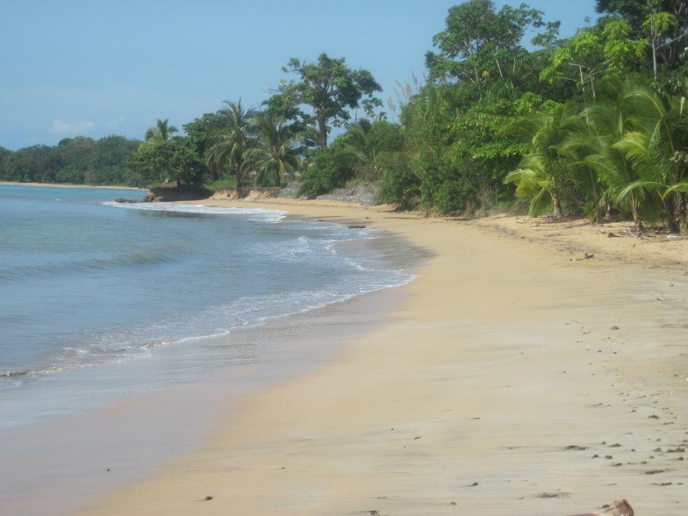 Sand Dollar Beach Bed & Breakfast Bocas del Toro Exterior photo