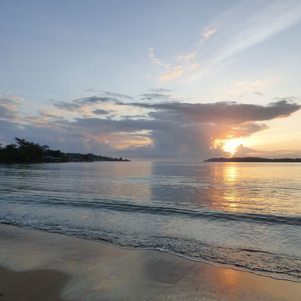 Sand Dollar Beach Bed & Breakfast Bocas del Toro Exterior photo